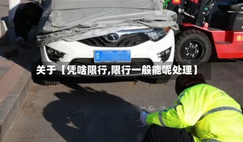 关于【凭啥限行,限行一般能呢处理】-第2张图片