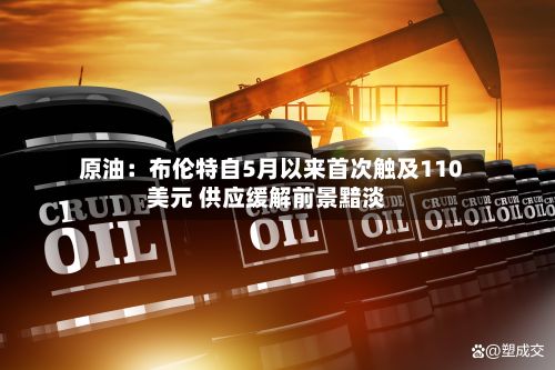 原油:布伦特自5月以来首次触及110美元 供应缓解前景黯淡-第2张图片