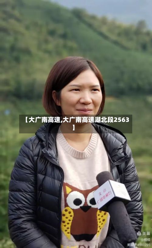 【大广南高速,大广南高速湖北段2563】