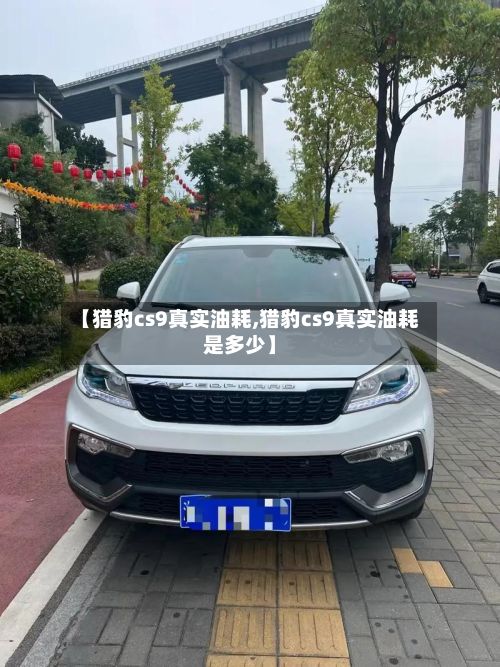 【猎豹cs9真实油耗,猎豹cs9真实油耗是多少】