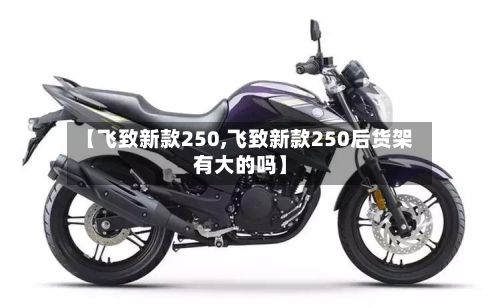 【飞致新款250,飞致新款250后货架有大的吗】-第1张图片