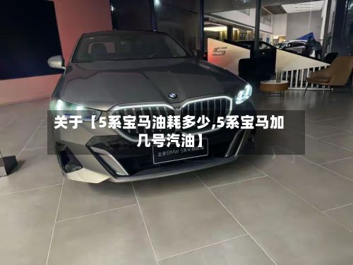 关于【5系宝马油耗多少,5系宝马加几号汽油】