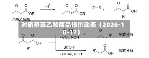 对硝基苯乙酸商品报价动态(2026-10-17)-第3张图片