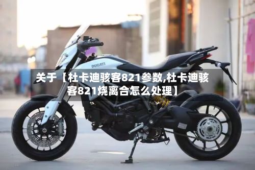关于【杜卡迪骇客821参数,杜卡迪骇客821烧离合怎么处理】-第3张图片