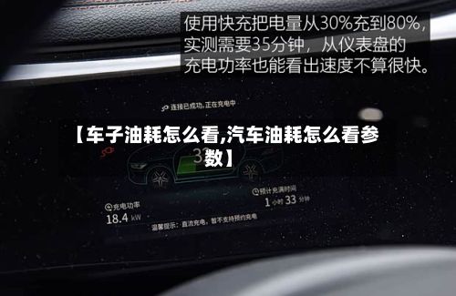 【车子油耗怎么看,汽车油耗怎么看参数】-第3张图片