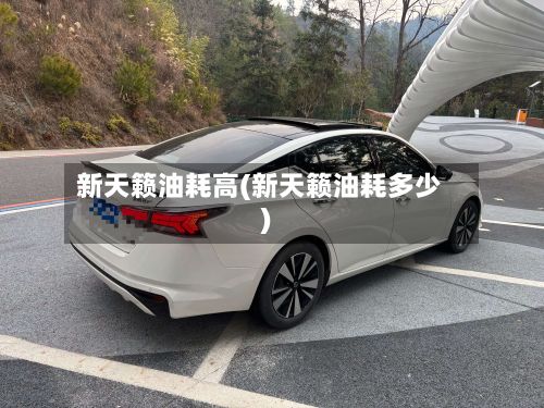 新天籁油耗高(新天籁油耗多少)