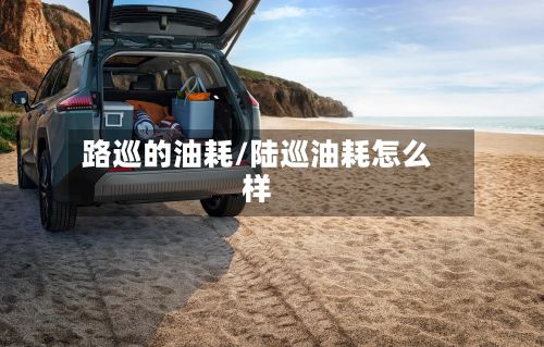 路巡的油耗/陆巡油耗怎么样-第2张图片