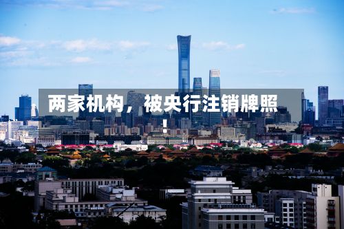 两家机构	，被央行注销牌照！-第2张图片