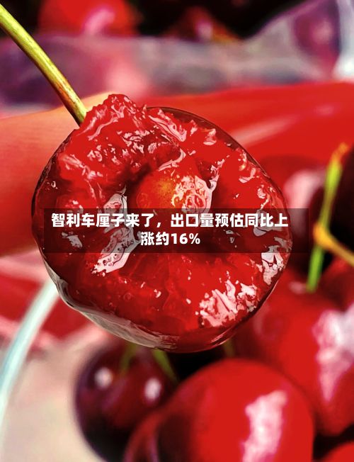 智利车厘子来了，出口量预估同比上涨约16%-第2张图片