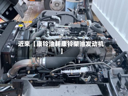 近来【康铃油耗康铃柴油发动机】