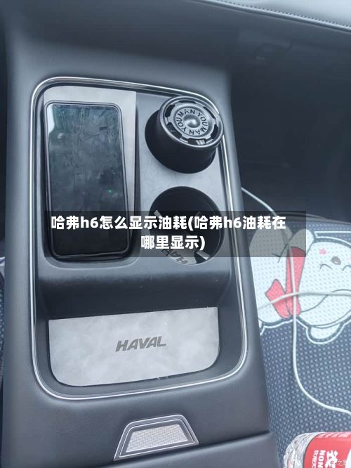 哈弗h6怎么显示油耗(哈弗h6油耗在哪里显示)-第2张图片