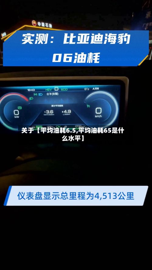 关于【平均油耗6.5,平均油耗65是什么水平】