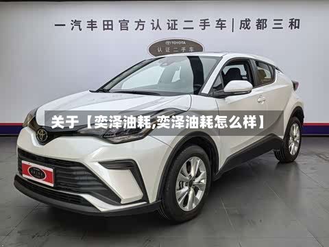 关于【奕泽油耗,奕泽油耗怎么样】-第3张图片