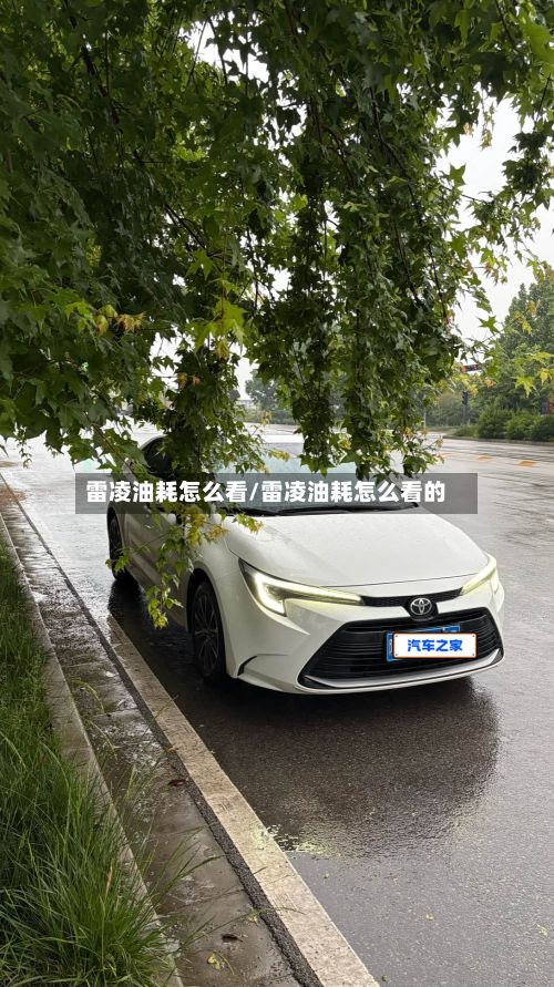 雷凌油耗怎么看/雷凌油耗怎么看的
