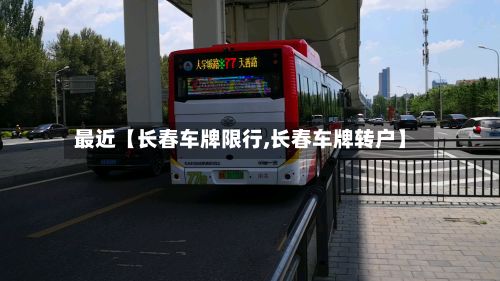 最近【长春车牌限行,长春车牌转户】-第3张图片