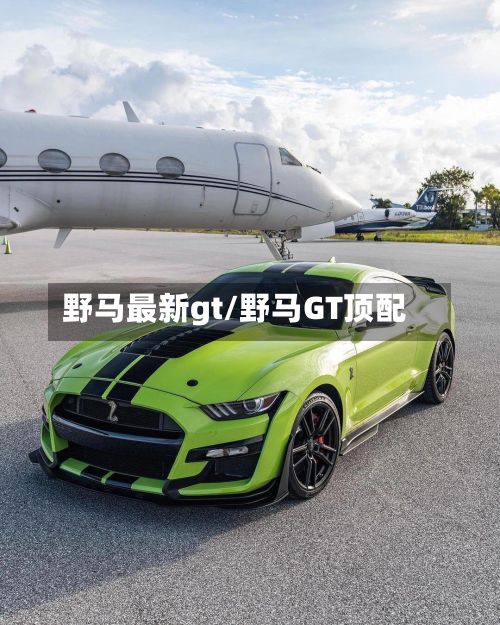 野马最新gt/野马GT顶配-第3张图片