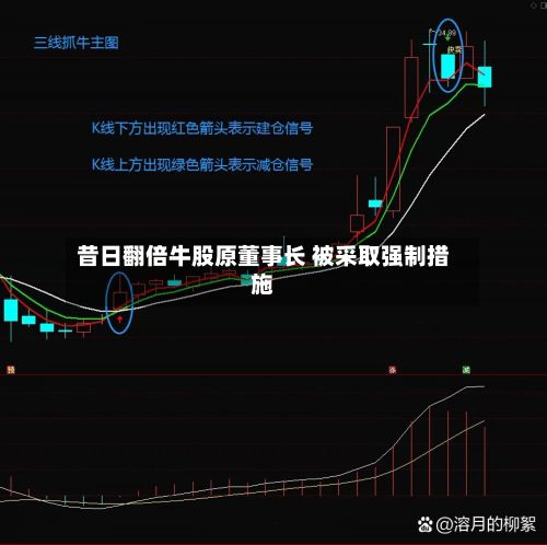 昔日翻倍牛股原董事长 被采取强制措施