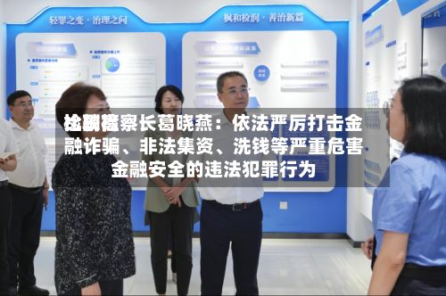 比较高检副检察长葛晓燕：依法严厉打击金融诈骗、非法集资、洗钱等严重危害金融安全的违法犯罪行为