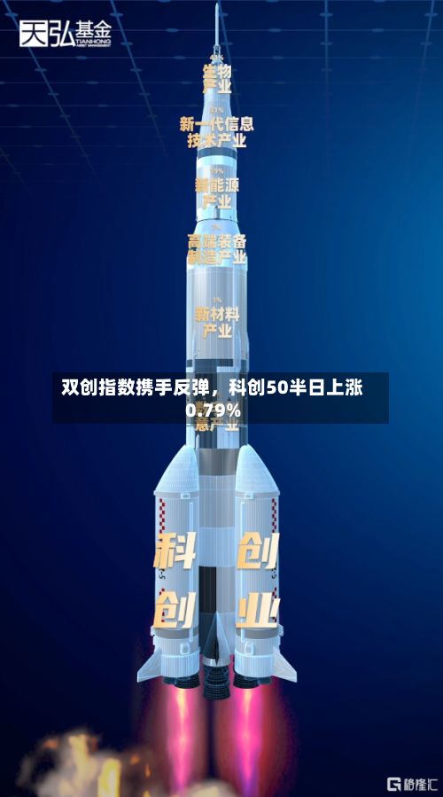 双创指数携手反弹，科创50半日上涨0.79%-第2张图片