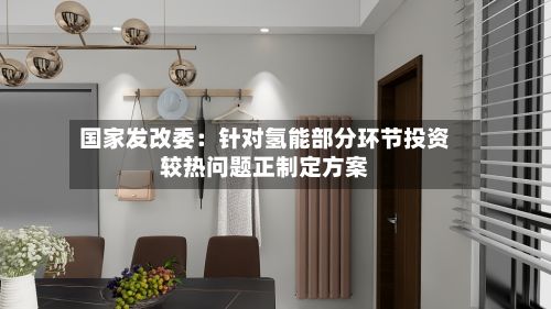 国家发改委：针对氢能部分环节投资较热问题正制定方案-第2张图片