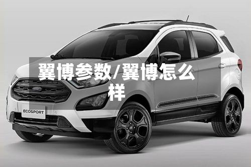 翼博参数/翼博怎么样-第2张图片