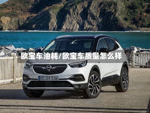 欧宝车油耗/欧宝车质量怎么样