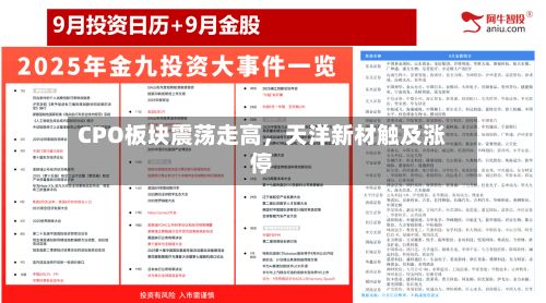 CPO板块震荡走高	，天洋新材触及涨停-第2张图片