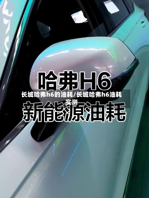 长城哈弗h6的油耗/长城哈弗h6油耗实测