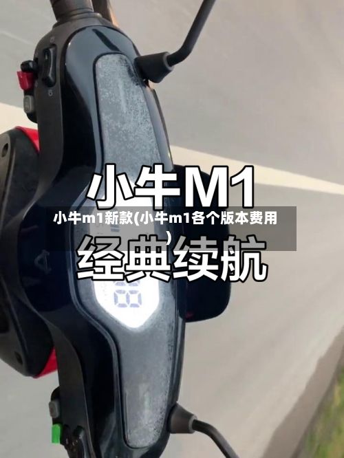 小牛m1新款(小牛m1各个版本费用)-第3张图片