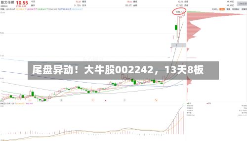 尾盘异动！大牛股002242，13天8板-第2张图片