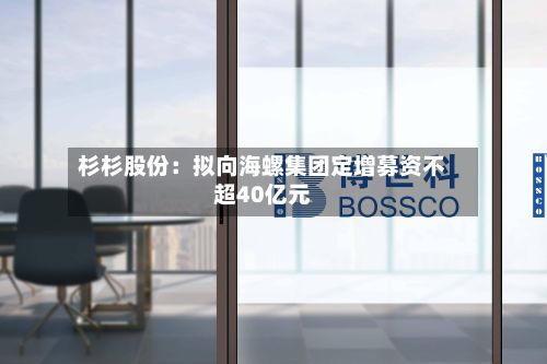 杉杉股份:拟向海螺集团定增募资不超40亿元-第2张图片
