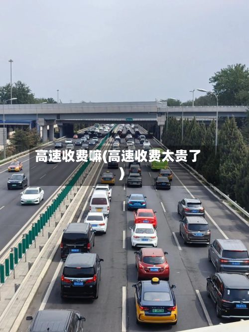 高速收费嘛(高速收费太贵了)