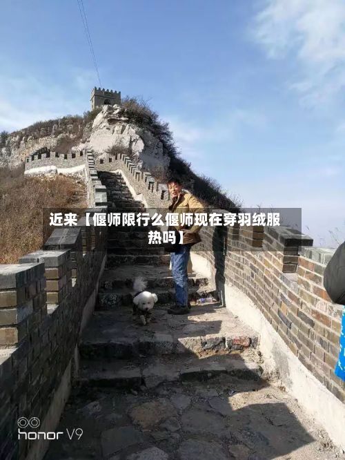 近来【偃师限行么偃师现在穿羽绒服热吗】-第2张图片