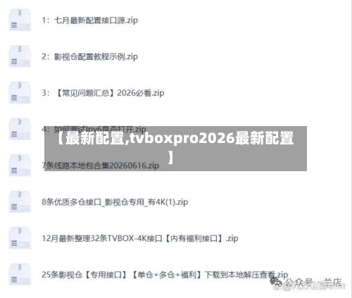 【最新配置,tvboxpro2026最新配置】-第3张图片