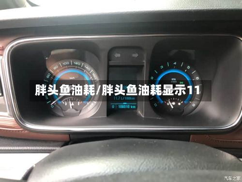 胖头鱼油耗/胖头鱼油耗显示11