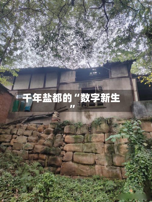 千年盐都的“数字新生”-第2张图片