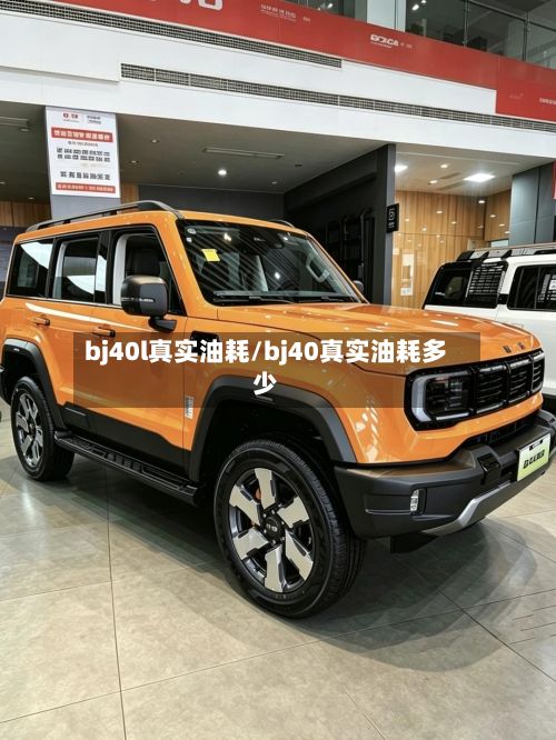 bj40l真实油耗/bj40真实油耗多少-第2张图片
