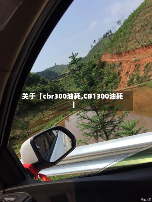 关于【cbr300油耗,CB1300油耗】-第2张图片
