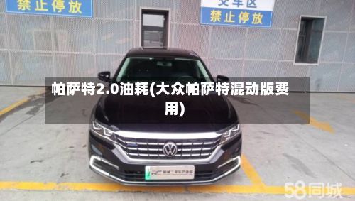 帕萨特2.0油耗(大众帕萨特混动版费用)-第3张图片