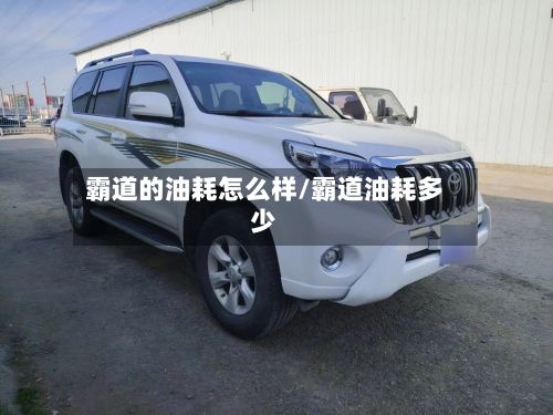 霸道的油耗怎么样/霸道油耗多少-第2张图片