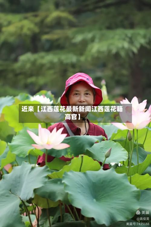近来【江西莲花最新新闻江西莲花籍高官】-第2张图片