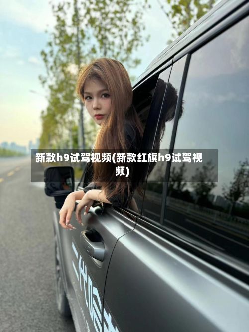 新款h9试驾视频(新款红旗h9试驾视频)-第2张图片