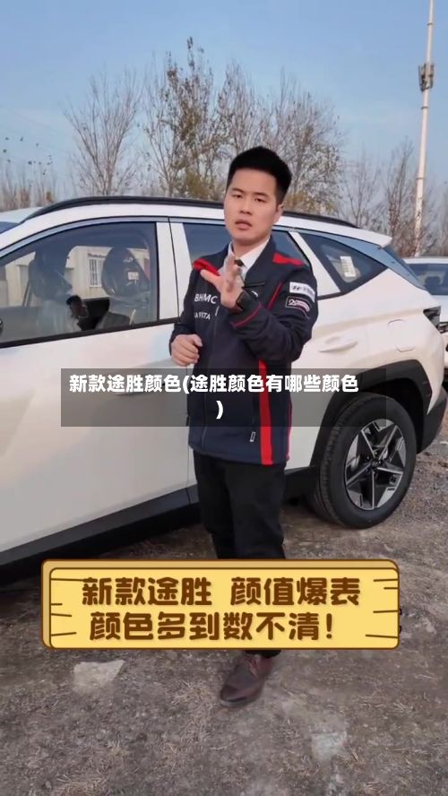 新款途胜颜色(途胜颜色有哪些颜色)-第3张图片