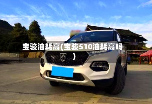 宝骏油耗高(宝骏510油耗高吗)-第3张图片