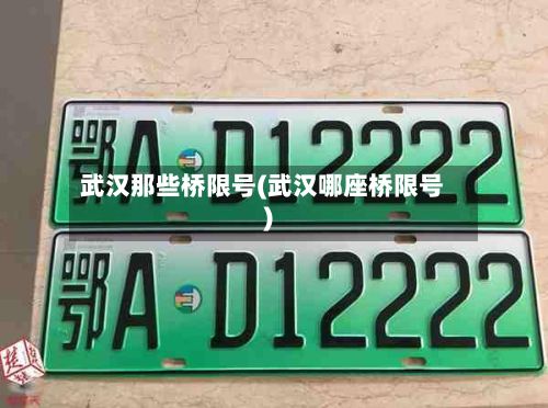 武汉那些桥限号(武汉哪座桥限号)-第2张图片