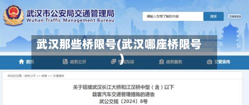 武汉那些桥限号(武汉哪座桥限号)