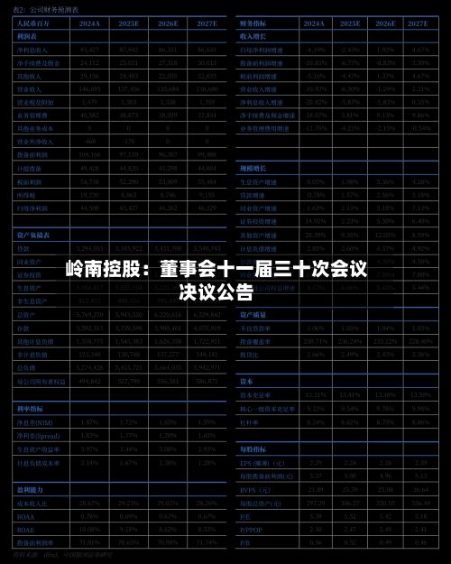 岭南控股：董事会十一届三十次会议决议公告