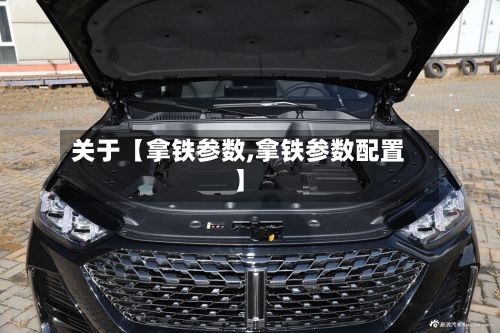 关于【拿铁参数,拿铁参数配置】