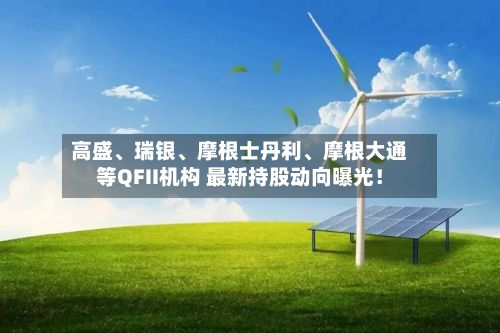 高盛、瑞银、摩根士丹利	、摩根大通等QFII机构 最新持股动向曝光！-第3张图片