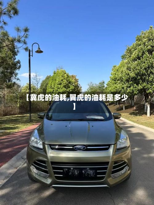 【冀虎的油耗,翼虎的油耗是多少】